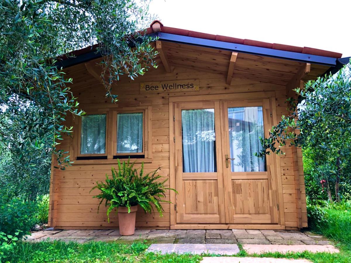 Beehouse - La Casa Delle Api Agriturismo ボルソ・デル・グラッパ エクステリア 写真