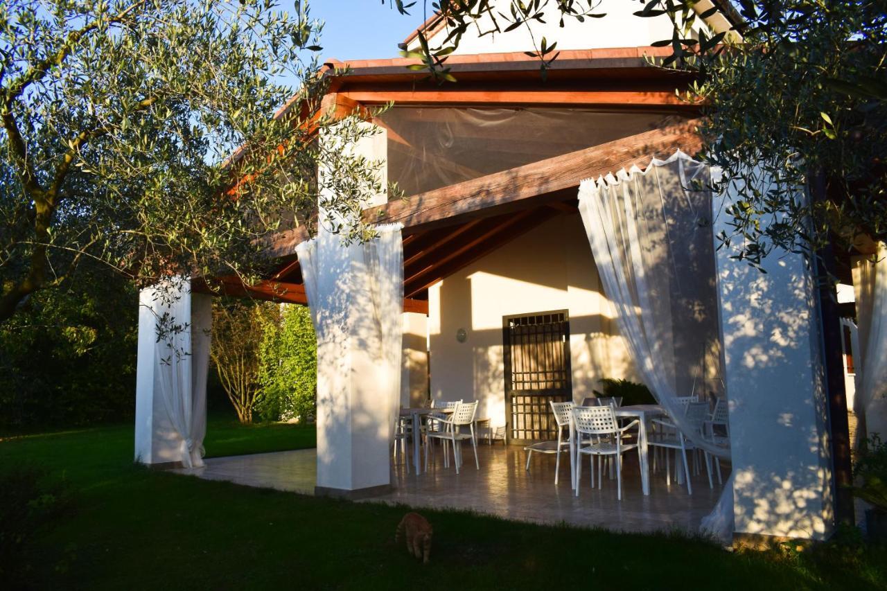 Beehouse - La Casa Delle Api Agriturismo ボルソ・デル・グラッパ エクステリア 写真