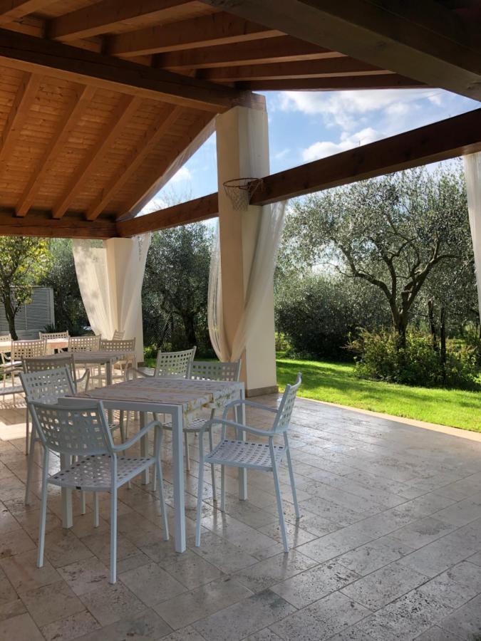 Beehouse - La Casa Delle Api Agriturismo ボルソ・デル・グラッパ エクステリア 写真