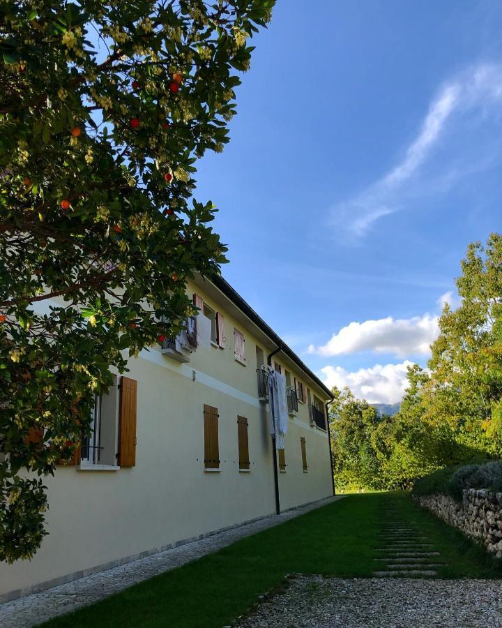 Beehouse - La Casa Delle Api Agriturismo ボルソ・デル・グラッパ エクステリア 写真